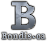 Bondis Pizza Logo Flames